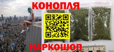 винт Камень-на-Оби
